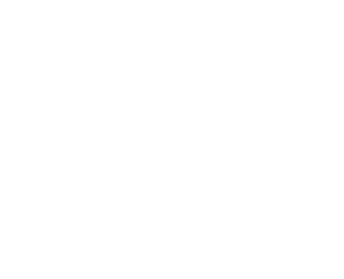 The Love Hunters